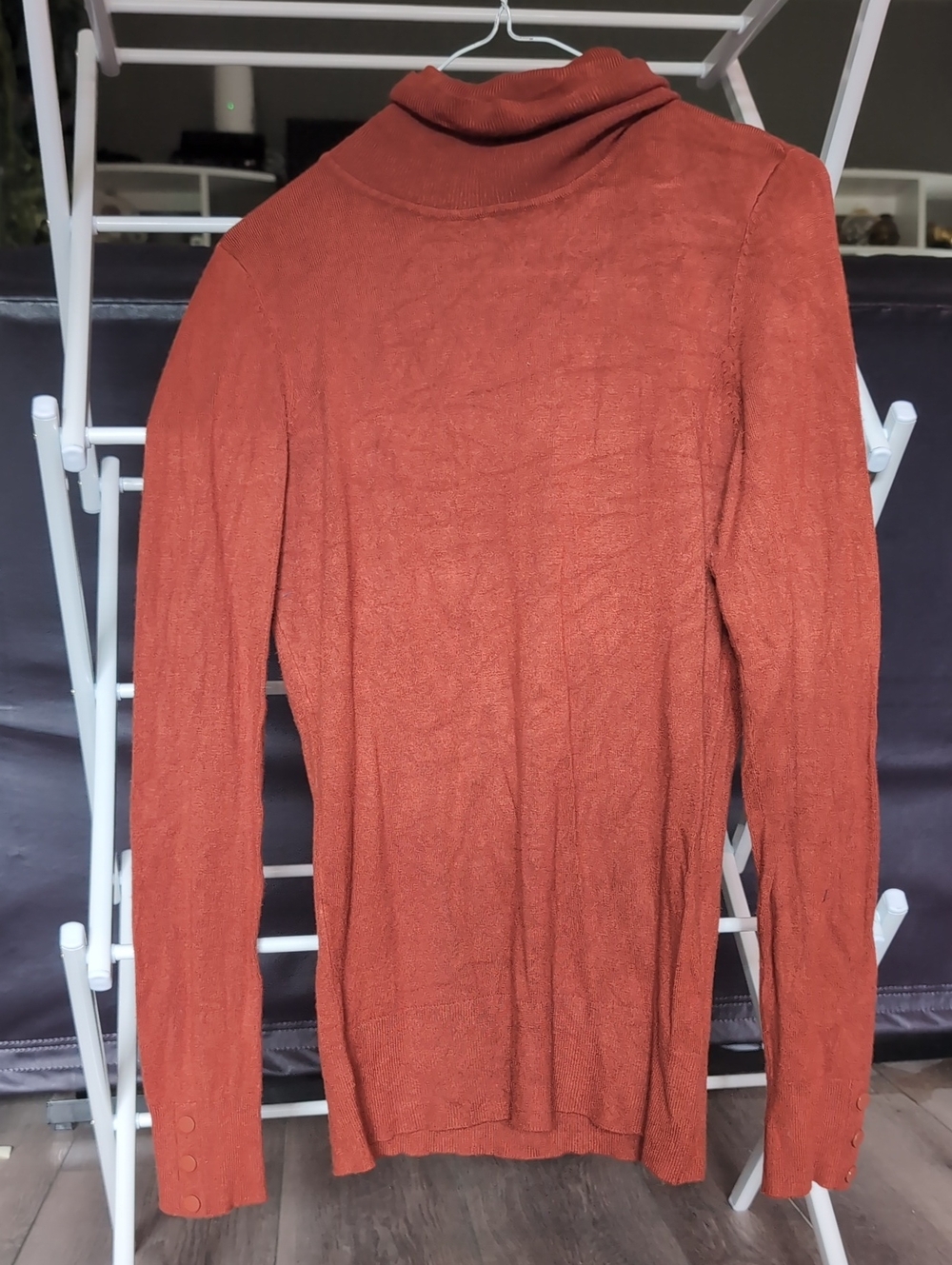 Rust Turtleneck Sweater